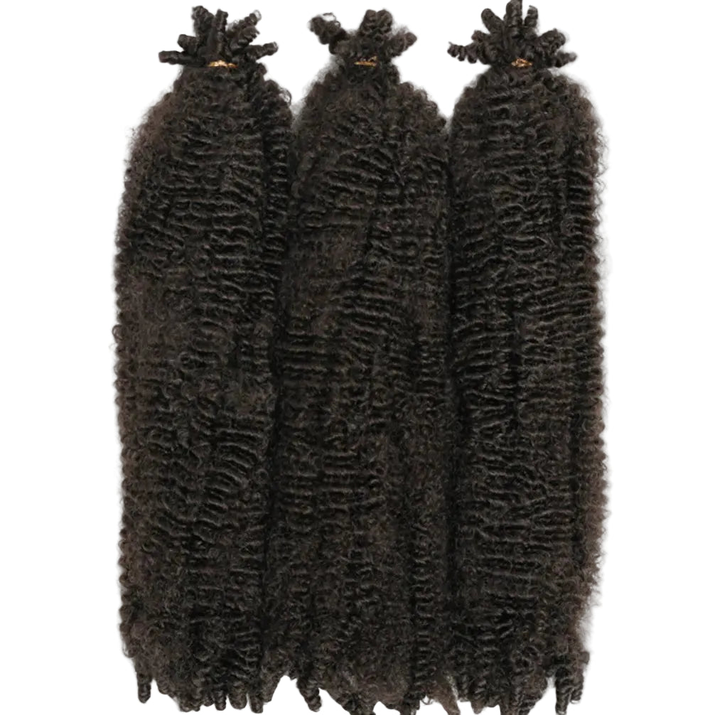 Two packs of X-pression Springy Afro Twist hair extensions in 1B color, displayed with brand and product information.