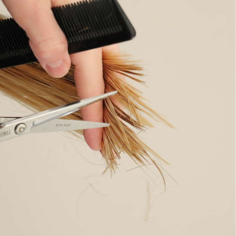 Hairstylist with gloves cutting hair with light beige background