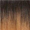 Janet Collection Passion Twist 34''