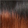 Janet Collection Passion Twist 34''